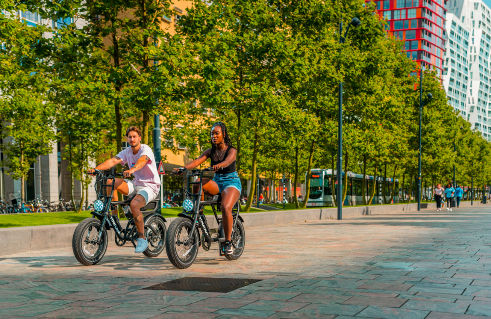 electric bike without chain