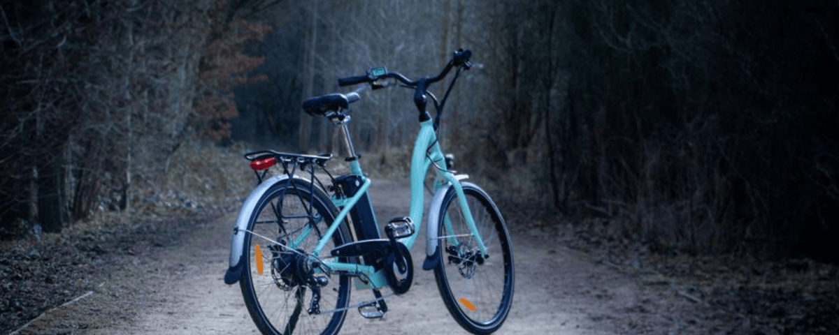 Juicy roller electric bike top us