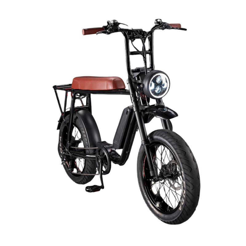 Fatboy 2025 electric bike