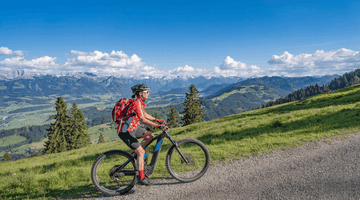 Education Hub Pedal & Chain