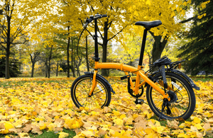 Education Hub Pedal & Chain