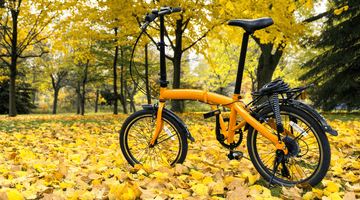 Education Hub Pedal & Chain