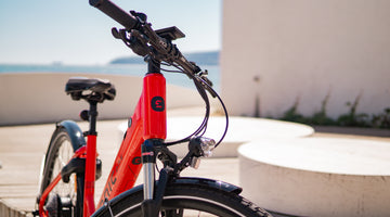 Education Hub Pedal & Chain