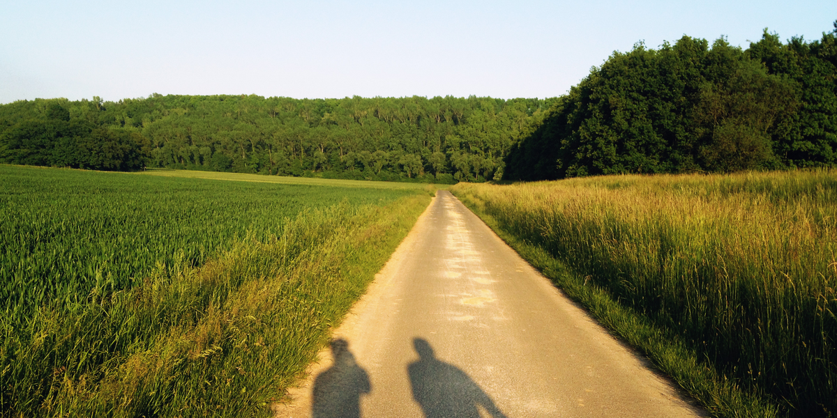 pure electric bikes uk