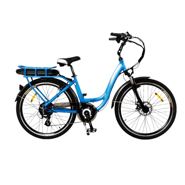 Avatar 2.0 Electric Bike - Roodog Electric Bikes