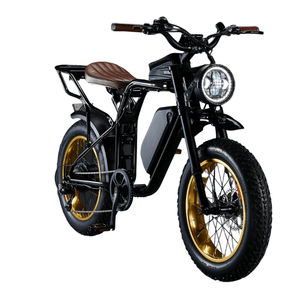 E bike looks like 2024 motorcycle