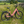 Load image into Gallery viewer, Ampere Deluxe 26″ Step Through Electric Bike 250W - Pedal &amp; Chain
