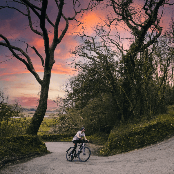 EMU EVO Crossbar Electric Bike 250W - Pedal & Chain