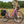Load image into Gallery viewer, EMU Classic Step Through Electric Bike 250W - Pedal &amp; Chain
