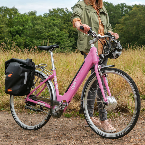 EMU Classic Step Through Electric Bike 250W - Pedal & Chain