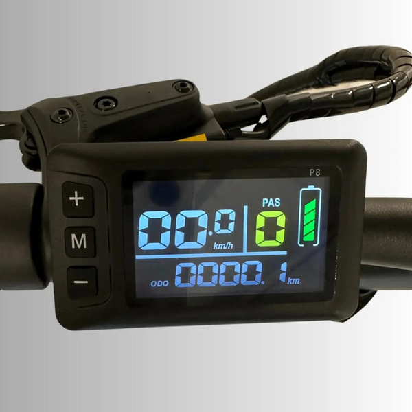 Raven hot sale e bike