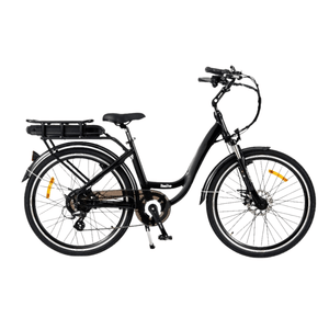 RooDog Chic Step Through Electric Bike 250W RooDog