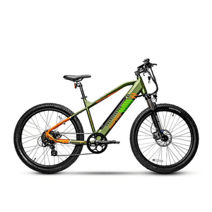 Electric Bikes with Extended Battery Range Long Lasting E Bikes Pedal Chain