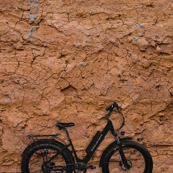 Breeze fat tire electric mountain bike 500w hotsell