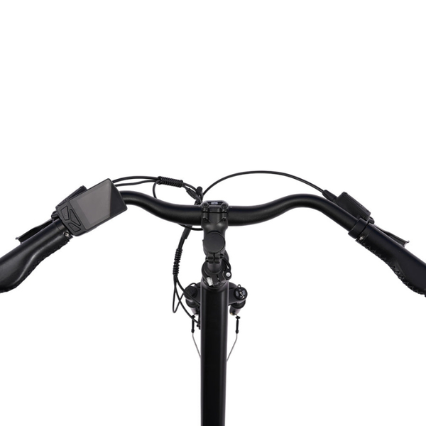 Herlev Auto Electric Bike 250W (2026) - Pedal & Chain