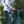 Load image into Gallery viewer, EMU Roam Crossbar Electric Bike 250W - Pedal &amp; Chain
