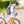 Load image into Gallery viewer, Zefal Urban Backpack/Pannier Bag
