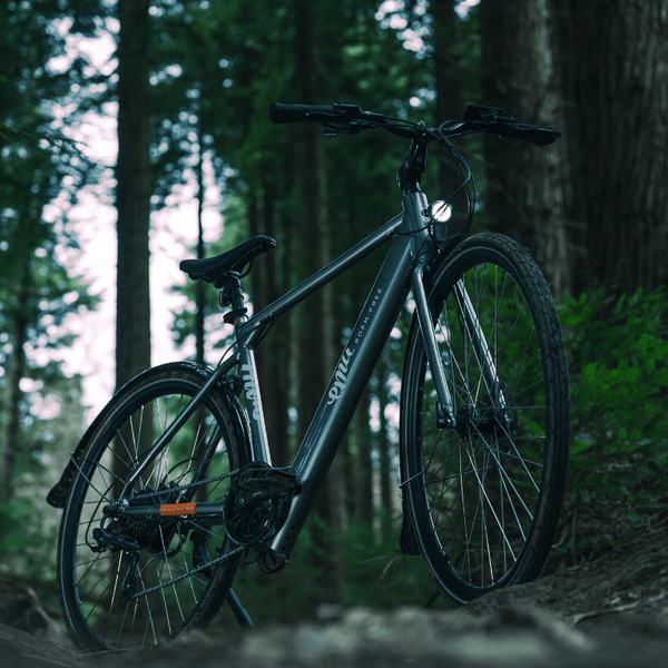 EMU EVO Crossbar Electric Bike 250W - Pedal & Chain