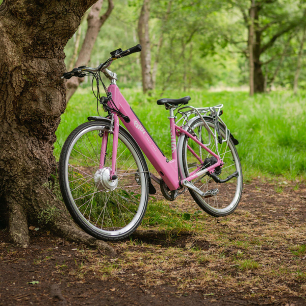 EMU Classic Step Through Electric Bike 250W - Pedal & Chain