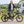 Load image into Gallery viewer, RooDog Chic Step Through Electric Bike 250W - Pedal &amp; Chain
