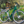 Load image into Gallery viewer, EMU Roam Crossbar Electric Bike 250W - Pedal &amp; Chain
