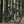 Load image into Gallery viewer, EMU EVO Crossbar Electric Bike 250W - Pedal &amp; Chain
