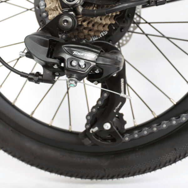 Ecosmo folding tandem shop