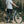 Load image into Gallery viewer, EMU EVO Crossbar Electric Bike 250W - Pedal &amp; Chain
