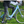 Load image into Gallery viewer, EMU Classic Step Through Electric Bike 250W - Pedal &amp; Chain
