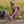 Load image into Gallery viewer, EMU Classic Step Through Electric Bike 250W - Pedal &amp; Chain
