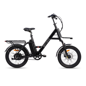 Herlev Auto Electric Bike 250W (2026) - Pedal & Chain