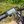 Load image into Gallery viewer, Dawes Spire 1.0 Crossbar Electric Hybrid Bike 250W 2026 - Pedal &amp; Chain
