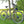 Load image into Gallery viewer, ARCC Abington Electric Bike 250W Stylish Town Bike - Pedal &amp; Chain
