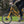 Load image into Gallery viewer, ARCC Moulton TSR Electric Bike Custom Stylish eBike - Pedal &amp; Chain
