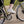 Load image into Gallery viewer, ARCC Rosemont Electric Bike 250W Comfort Step Through eBike - Pedal &amp; Chain
