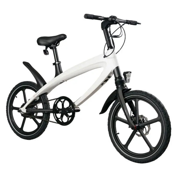 Cruzaa Electric E-Byke 2021 240W Bluetooth Speakers - Pedal & Chain