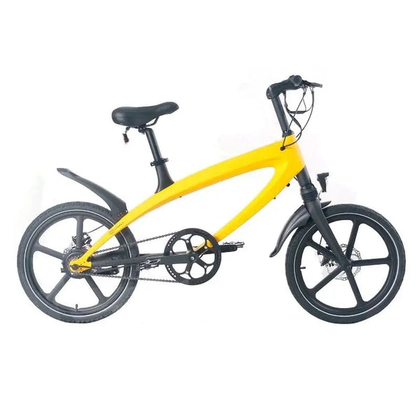 Cruzaa Electric E-Byke 2021 240W Bluetooth Speakers - Pedal & Chain