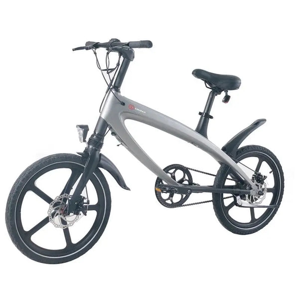 Cruzaa Electric E-Byke 2021 240W Bluetooth Speakers - Pedal & Chain