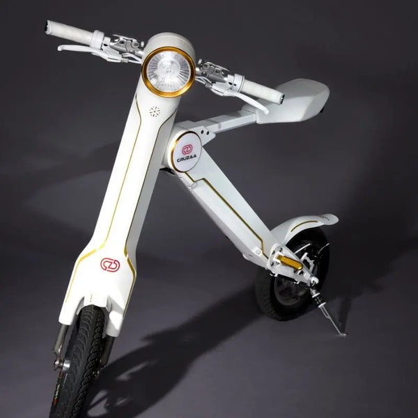 Raycon electric hot sale bike