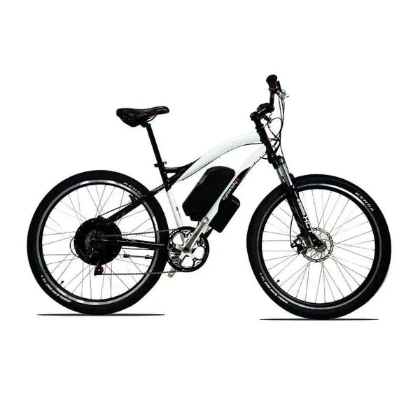 1000w ebikes