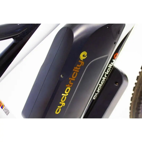 cyclotricity stealth 1000w dual power