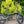 Load image into Gallery viewer, E-GO Bike MAX+ (Plus) Folding Electric Bike 2021 - Pedal &amp; Chain

