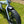 Load image into Gallery viewer, E-GO Bike MAX+ (Plus) Folding Electric Bike 2021 - Pedal &amp; Chain
