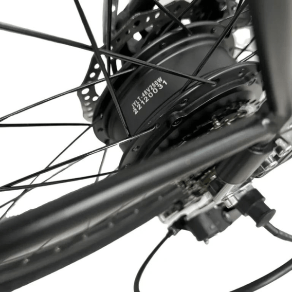 E Movement Troy Pro 250W Step Through Electric Bike E Movement