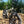 Load image into Gallery viewer, EMU Fat Tyre Folding Electric Bike Ivory
