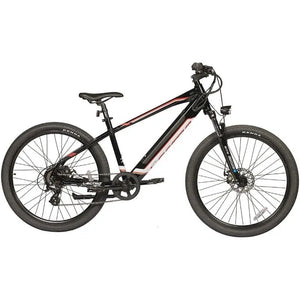 Lectro peak electric outlet bike