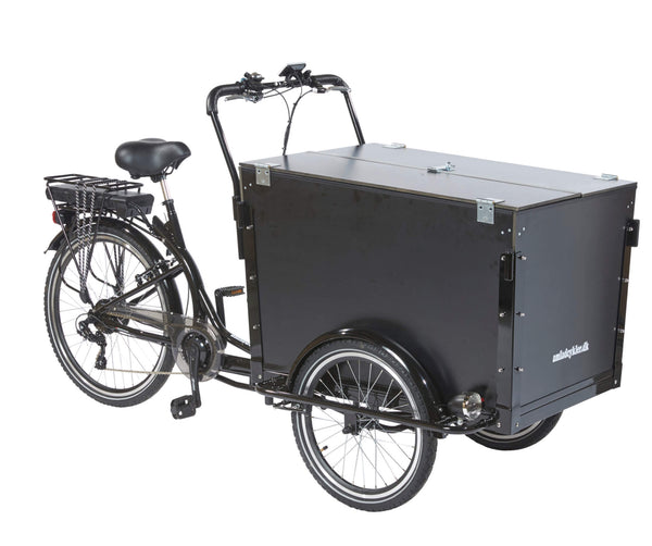 Three wheel hot sale delivery bike