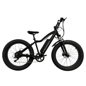 Electric fat bike company sale