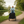 Load image into Gallery viewer, Amcargobikes Deluxe cargo electric tricycle square lifestyle image - front view
