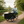 Load image into Gallery viewer, AmcargoBikes Deluxe Cargo Electric Tricycle with rider facing camera
